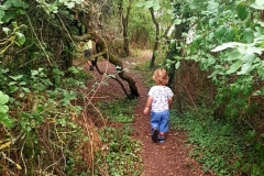 mini treewalk