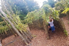 willow tunnel