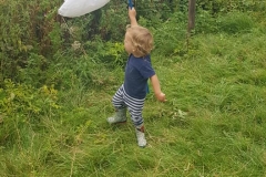 bug hunting