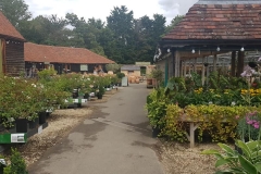 garden center