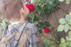 smelling roses