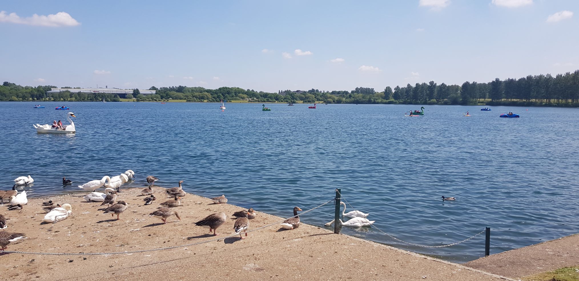Willen Lake Milton Keynes review The Family Ticket