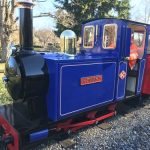 MInature train ride at beale park