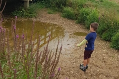 Bure park nature reserve 