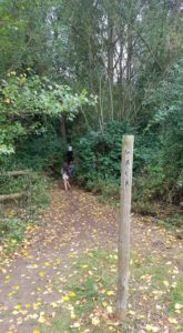 woodland walk Bicester 