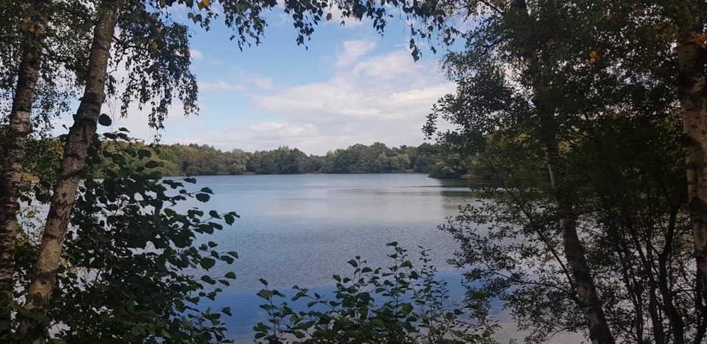 Wellington country park lake