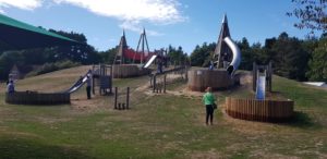 Slides at wellington country park