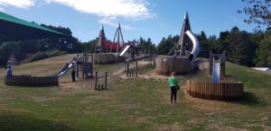 Slides at wellington country park