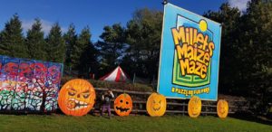 Millets Maize Maze