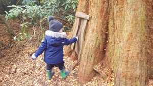 Rushmere Fairy doors