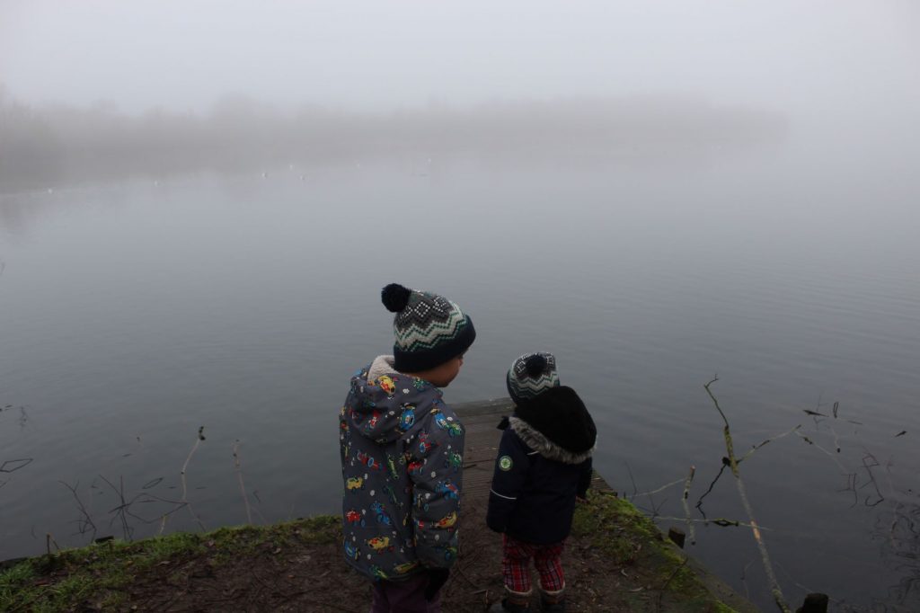 Foggy Dinton Pastures