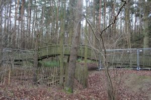 Salcy tree top walk closes 