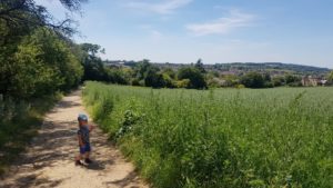 Faringdon Folly Views 