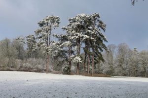 Waddesdon manor grounds