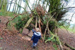 Faringdon Folly Woods 