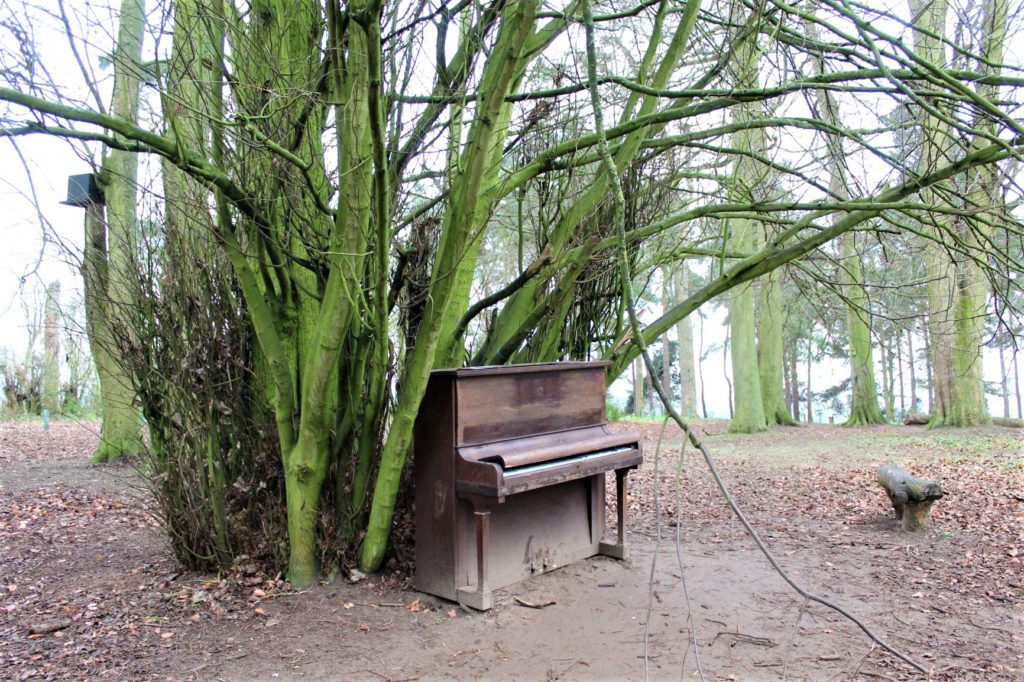 Piano in the woods