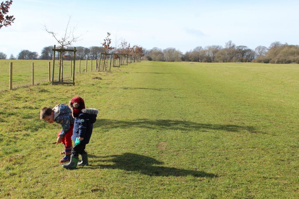 Wytham Woods 