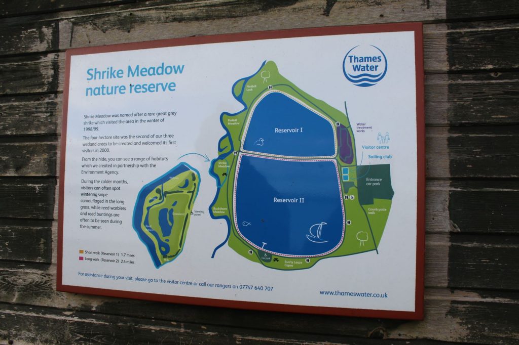 Farmoor Reservoir Walk Review The Family Ticket