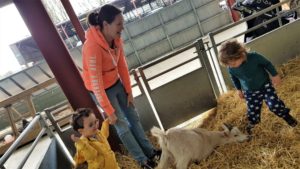 Rookery open farm 