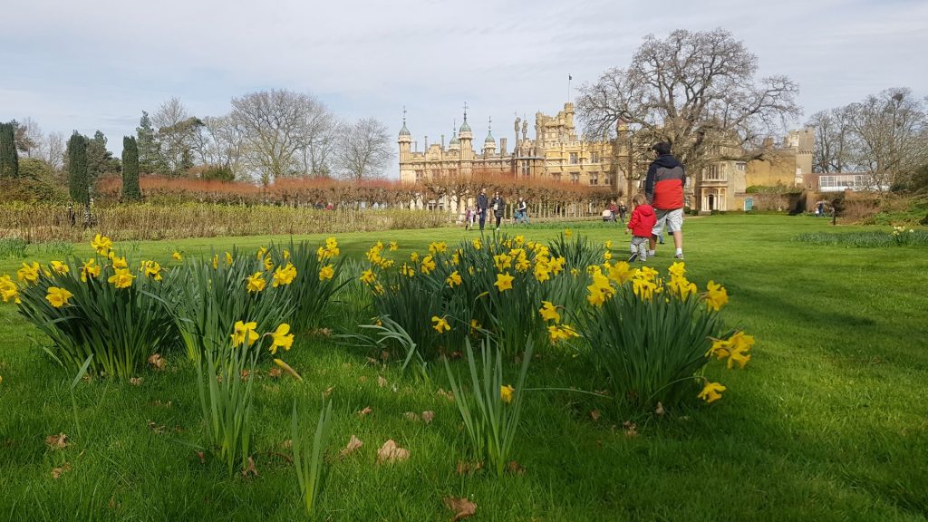 Knebworth house 