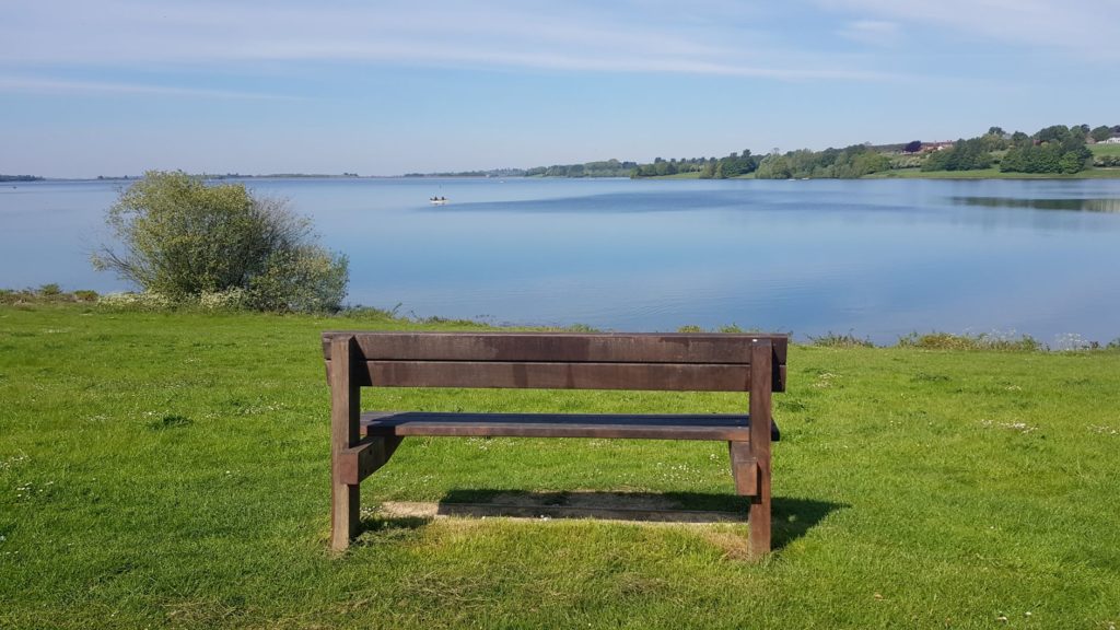 Bench with a view 