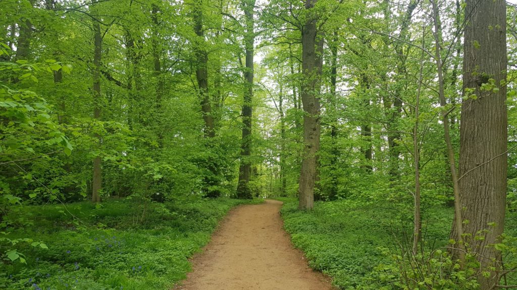 oxfordshire woodlands