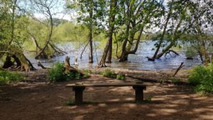 Daventry country park for kids 