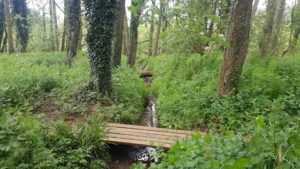 daventry country park bridges