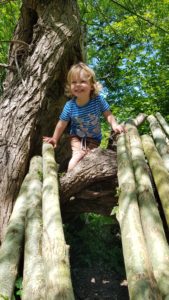 tree climbing 