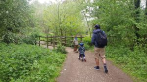 Daventry country park walks 