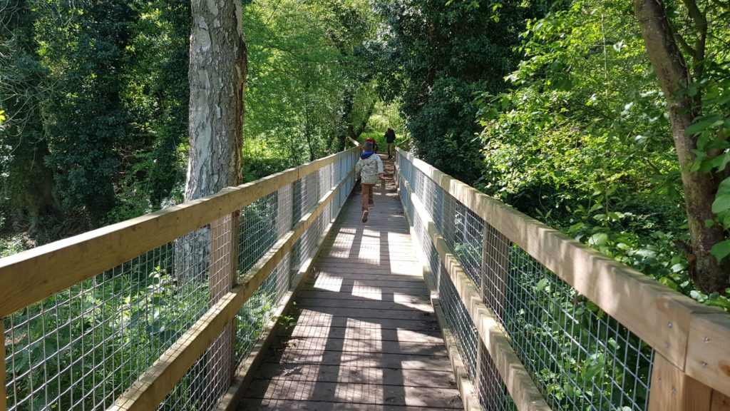 Daventry country park bird watching 