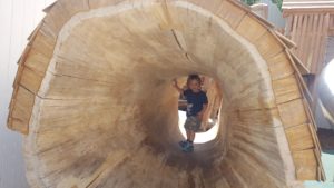 Natural Play Tunnel 