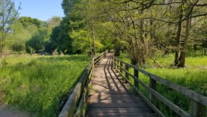 Daventry country park walks 