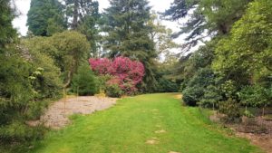 serpentine ride harcourt arboretum 