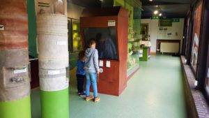 Stockwood discovery centre learning 