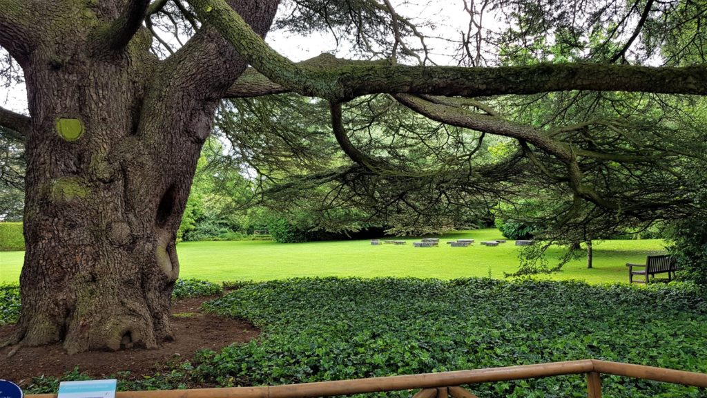 Sculpture gardens stockwood 