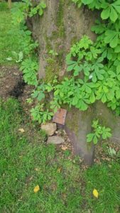 Fairy doors at swalcliffe