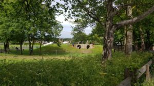 Harwell Jubilee playground