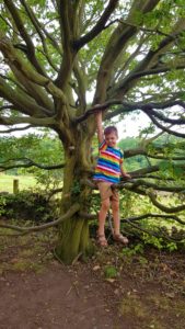 Tree climbing 