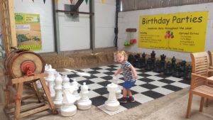 Giant Chess 