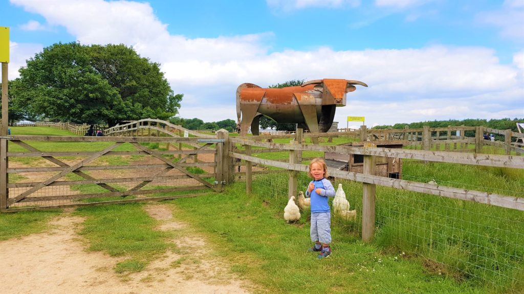 Cotswold Farm Park 