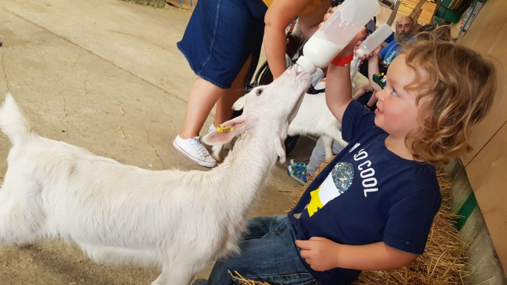 Bottle feeding time 