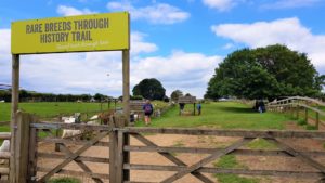 Cotswold farm park