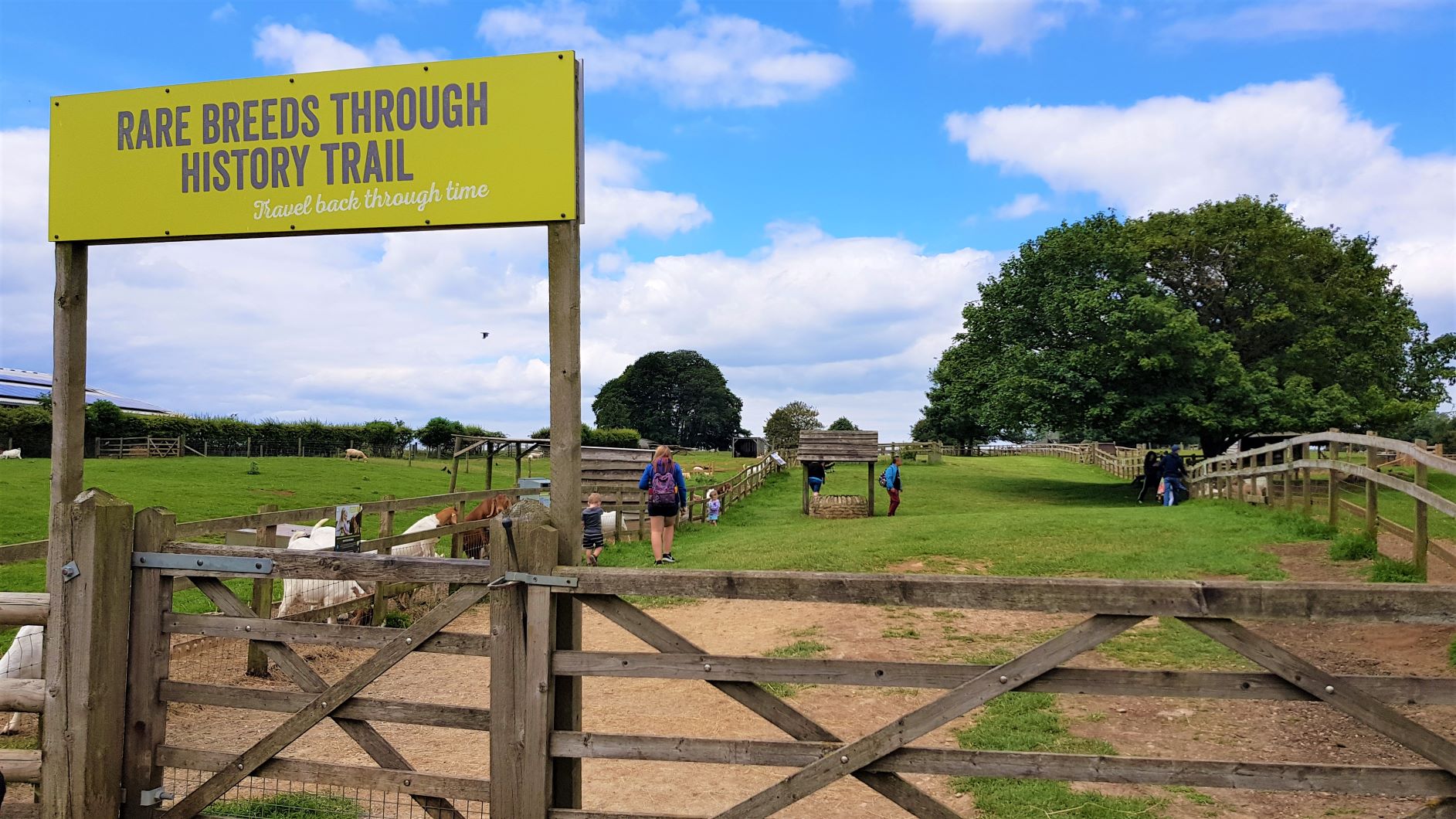 Cotswold Farm Park Fun The Family Ticket Review