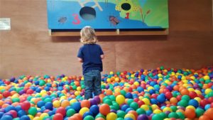 Roves Farm Ball Pit 