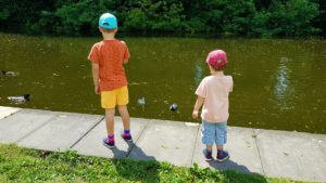 Feeding the ducks