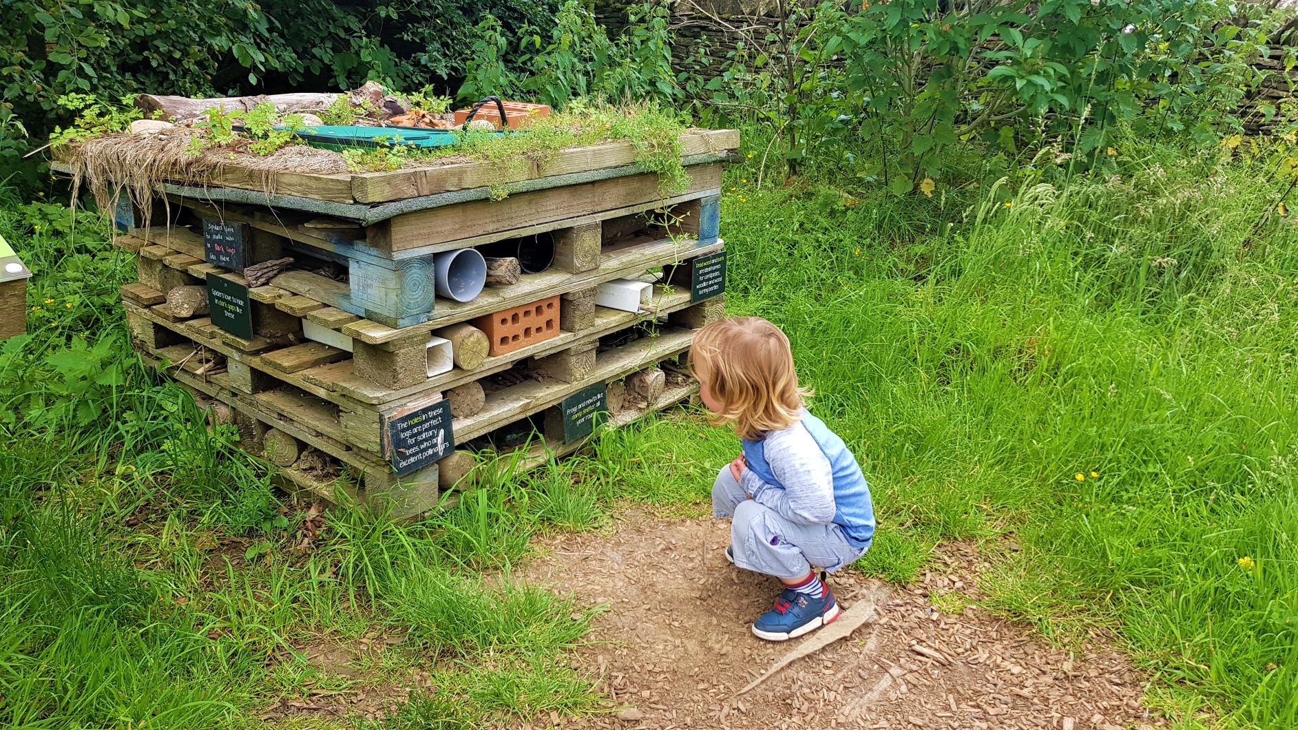 Cotswold Farm Park Fun The Family Ticket Review