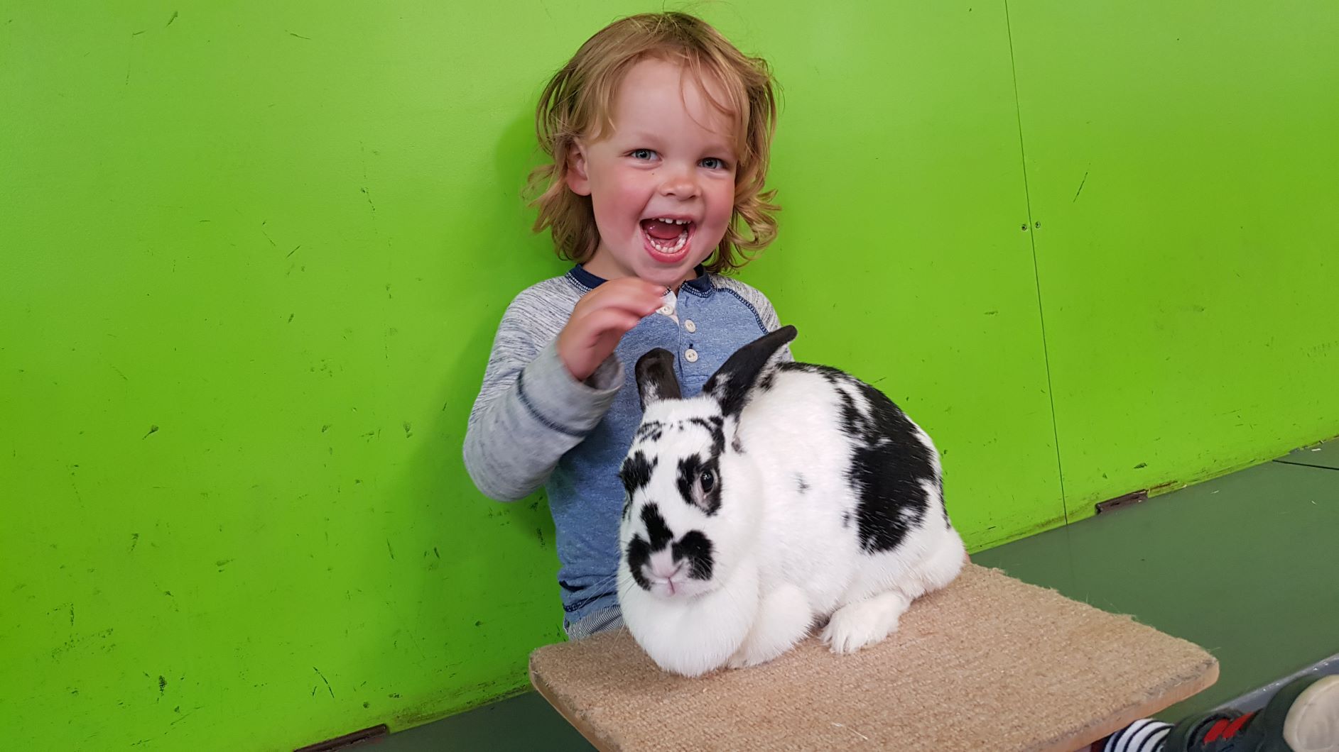 Cotswold Farm Park Fun The Family Ticket Review