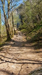 walking in dovedale