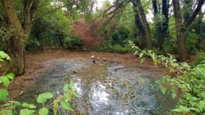 Muddy pond 